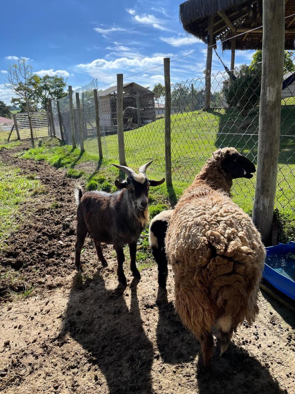 La Palma Hotel Fazenda Indaiatuba Eksteriør billede